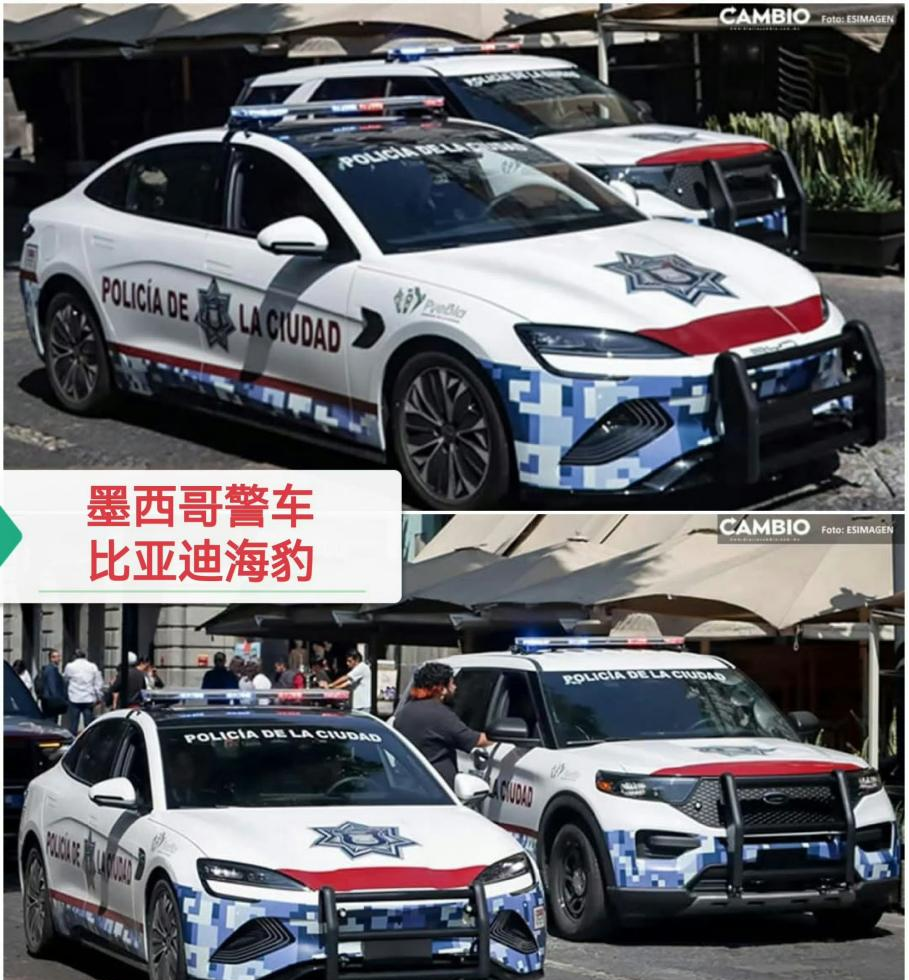 中国新能源车出口海外，比亚迪入选多国公务车