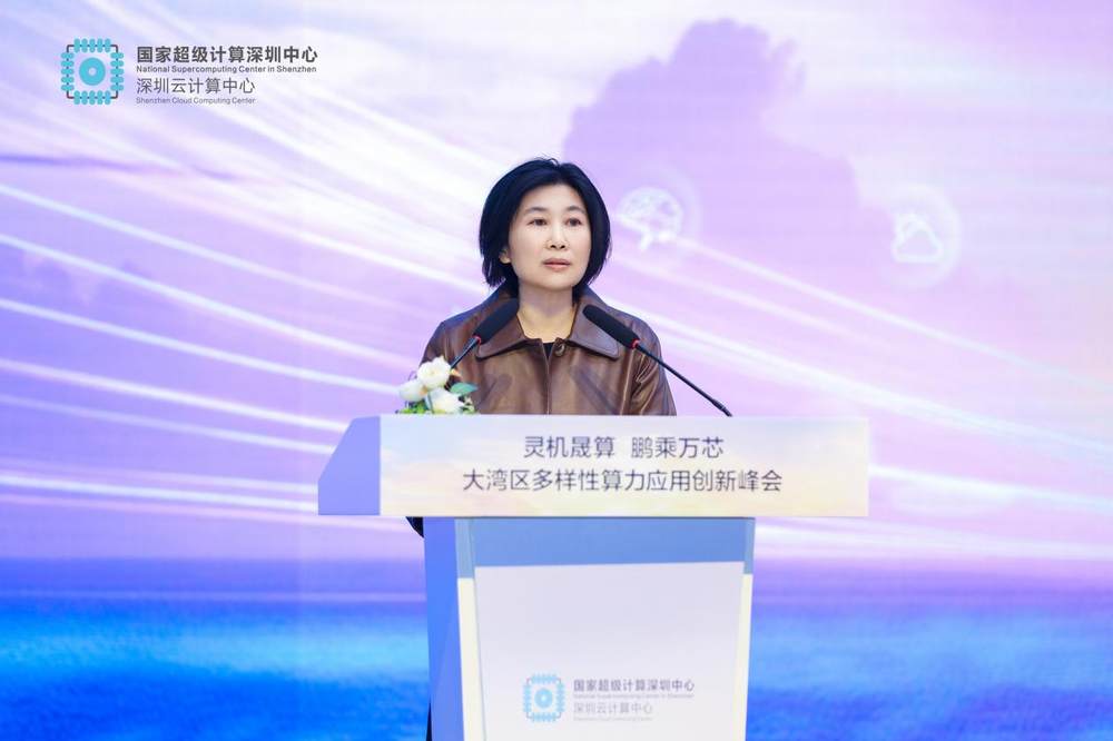 大湾区多样性算力应用创新峰会举办 共筑科创发展新引擎