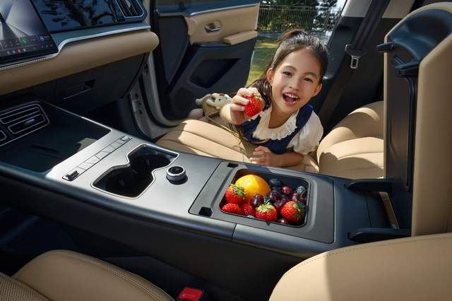 2026款宋Pro DM-i 220km长续航版上市 限时11.98万元起