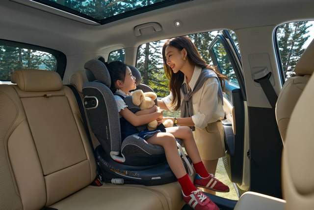 2026款宋Pro DM-i 220km长续航版上市 限时11.98万元起