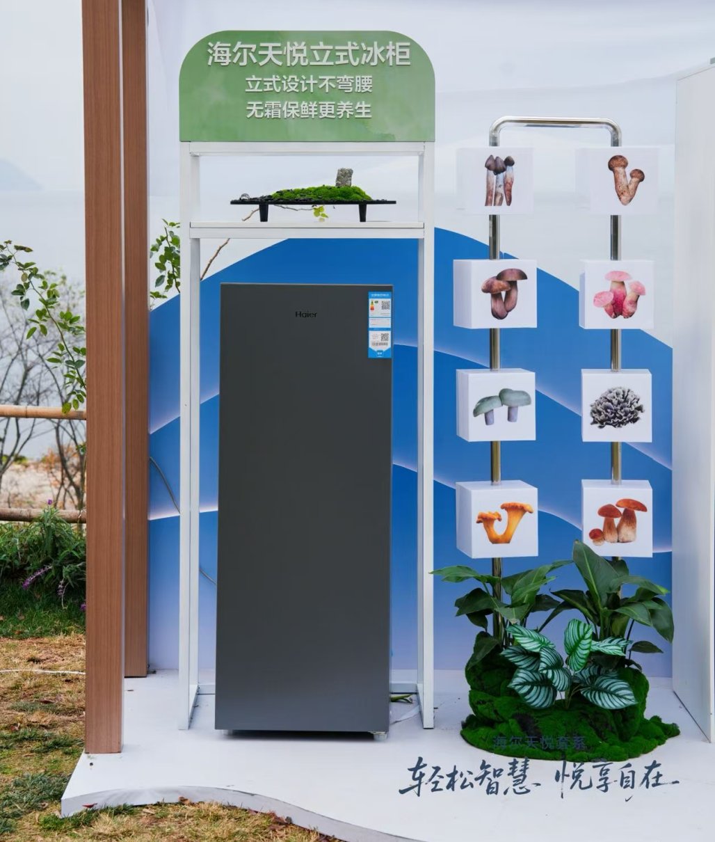 囤年货就用海尔冷柜！从-60℃到+15℃都能存