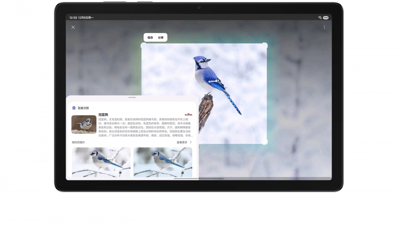 哪款平板更适合学生?三星Galaxy Tab A11+成年货节购机新选择