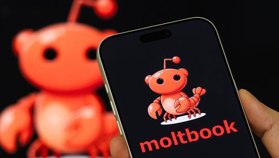 AI专用社交平台Moltbook火爆出圈 因流量激增一度无法访问