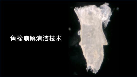 花王开发全新皮肤清洁技术 以亲水微米级粉体配合基于氨丁三醇的“角栓崩解清洁技术” 可以清除毛孔深处角栓,并可使黑头污垢淡化