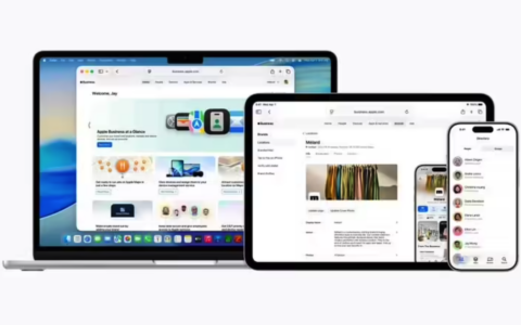 苹果推出“Apple Business”一站式平台：整合设备管理与企业服务，地图广告计划同步官宣