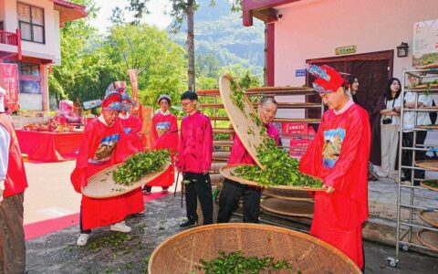 卡萨帝茶叶柜亮相第4届武夷星大红袍文化节