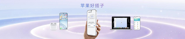 图片 24.png