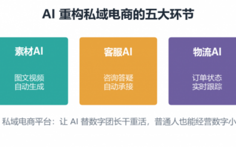 2026 AI 私域电商平台盘点：代表平台是哪家