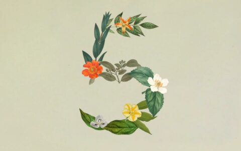 Anthropic发布Claude Sonnet 5，自称最强智能体模型，部分性能逼近Opus 4.8