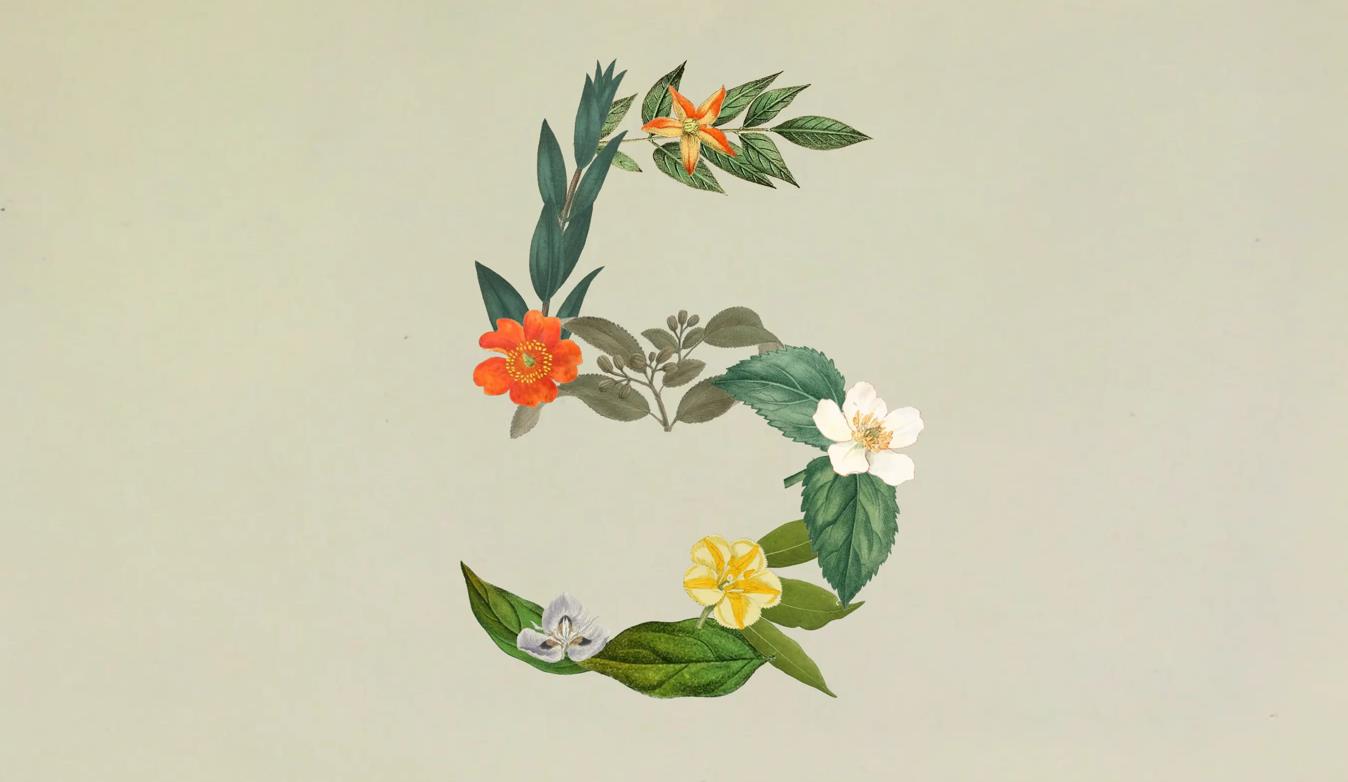 Anthropic发布Claude Sonnet 5,自称最强智能体模型,部分性能逼近Opus 4.8