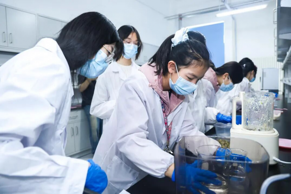 以手机为窗 以技术为桥 中国三星持续投入科技教育让梦想成为可能