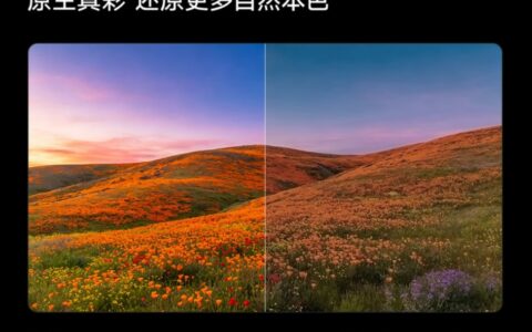 当世界杯全民化身“帧”球迷，才明白百吋电视为何是观赛首选