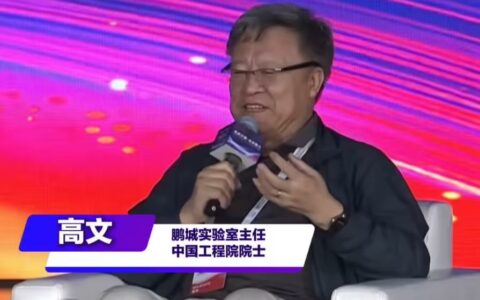 【WAIC 2026】高文院士：中国算力网第一阶段完成七成，全面落地或需二十年