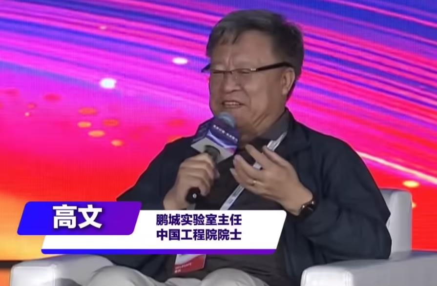 【WAIC 2026】高文院士:中国算力网第一阶段完成七成,全面落地或需二十年