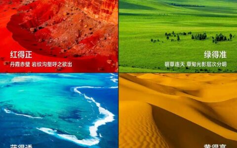 西班牙时隔16年捧起大力神杯，海信E5S Pro现场级呈现