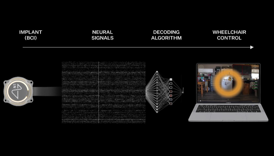 马斯克Neuralink实现“意念控物”:动动念头就能驾驶电动轮椅