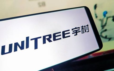 DeepSeek斥资1.41亿元参与宇树科技IPO战略配售，锁定36个月