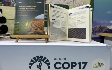 BOE（京东方）荒漠化防治解决方案亮相UNCCD COP17 以“技术+生态”融合模式贡献全球土地恢复的中国方案