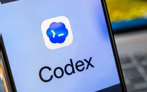 OpenAI回应Codex限额差异：严打订阅转API分享，官方客户端及合作平台不受影响