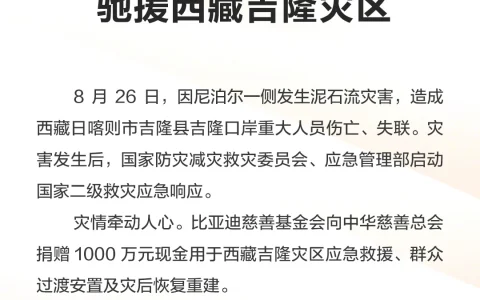 比亚迪宣布捐赠1000万元驰援西藏吉隆灾区