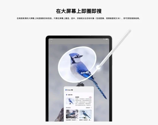 1788397694876055927.jpg 图片4.jpg