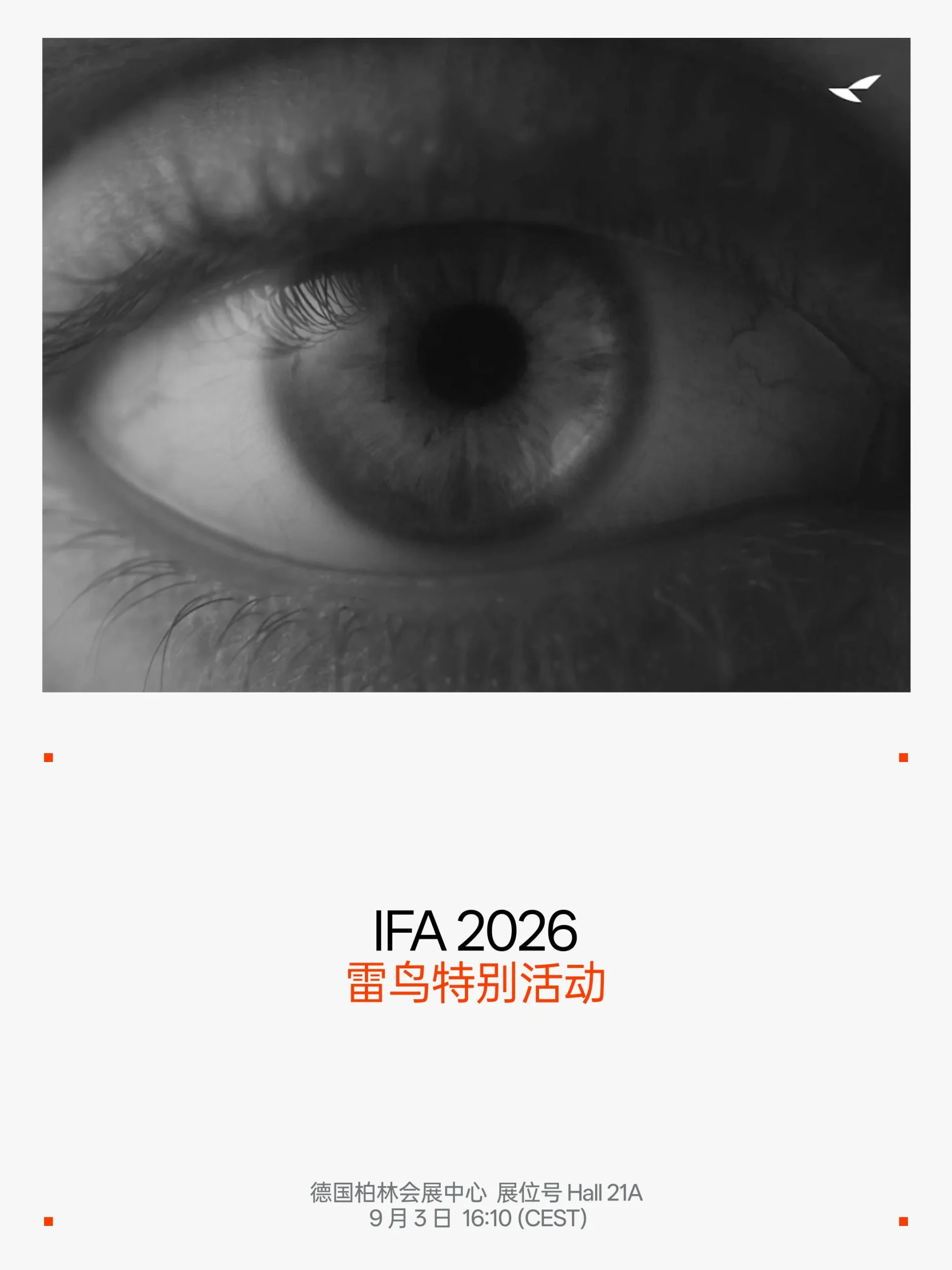 独揽全球 1/4 市场,雷鸟创新再登全球 AR 眼镜市场第一