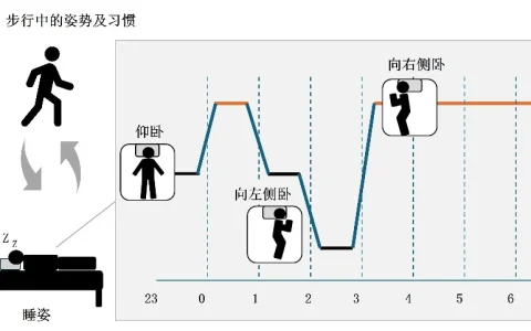着眼“睡姿”，展开睡眠研究 ——花王发现睡眠中的习惯性姿势或影响睡眠质量和日间姿势