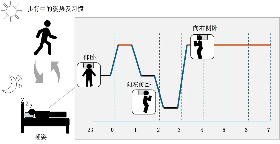 着眼“睡姿”,展开睡眠研究 ——花王发现睡眠中的习惯性姿势或影响睡眠质量和日间姿势
