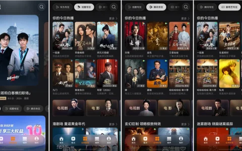 华为视频的十年演进：一个窗口看遍全网影视，一套AI读懂用户