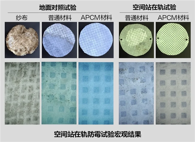 太空实证,双刊发表:安吉尔APCM抗菌材料登上国内外权威期刊