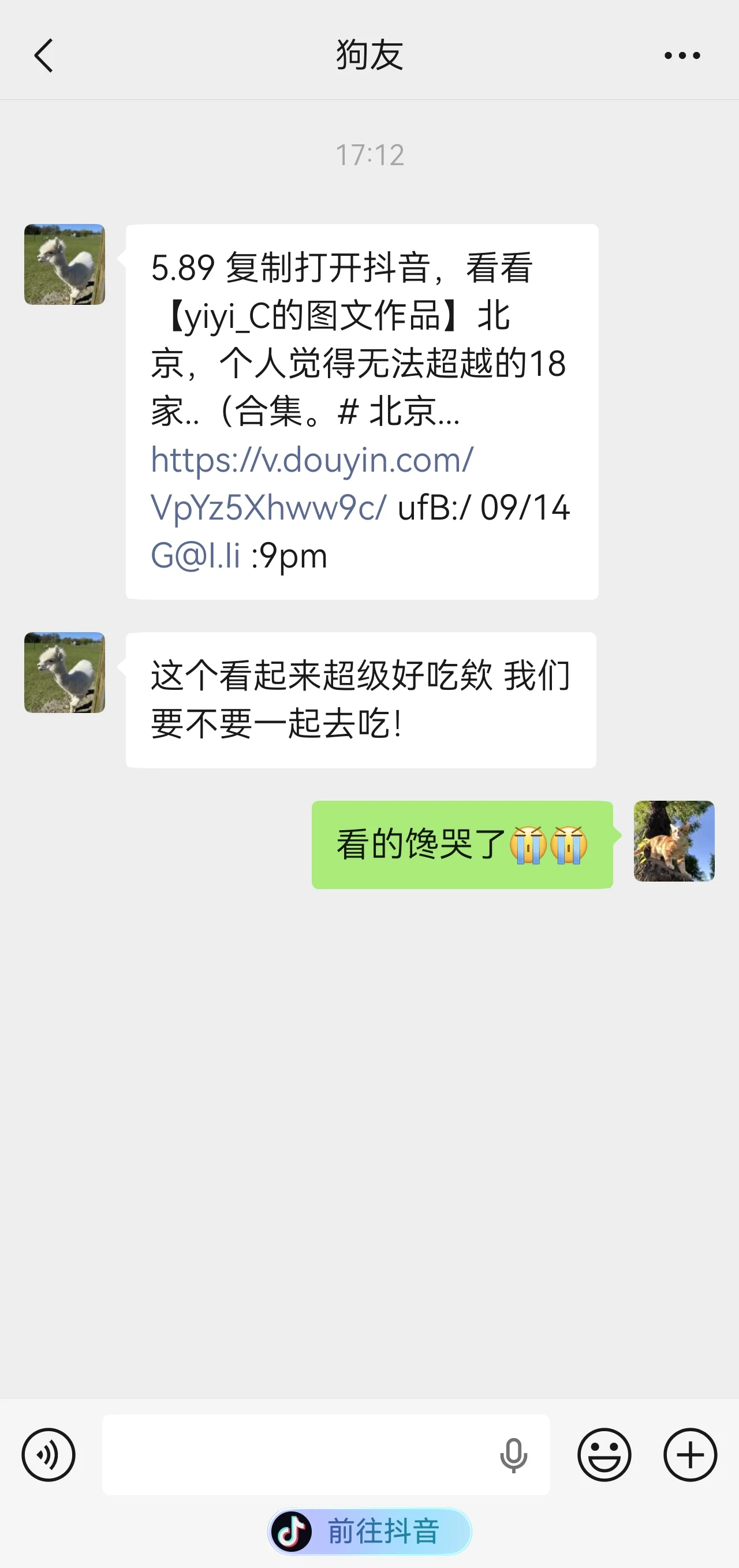 小艺导航条.jpeg 小艺导航条.jpeg