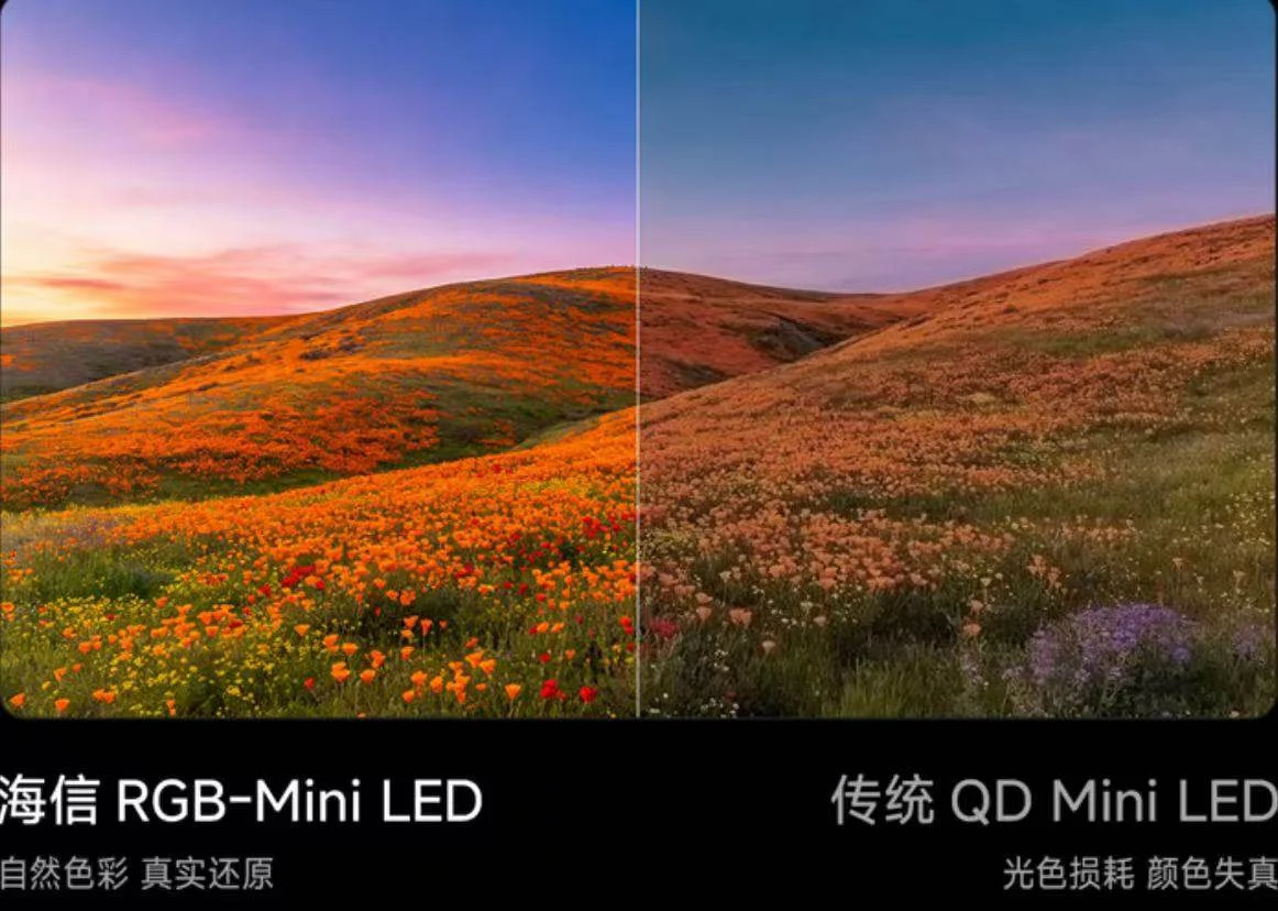 四款百吋电视画质对比:选MiniLED别光看参数,色彩才是硬实力