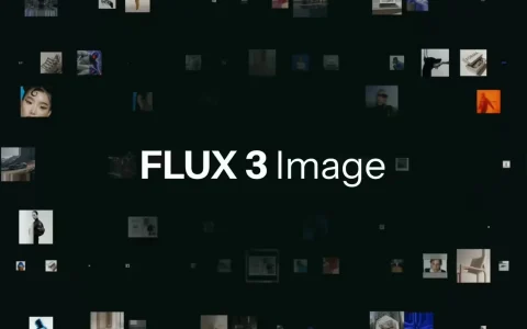 德国AI公司发布FLUX 3 Image，支持4K生成与精准排布