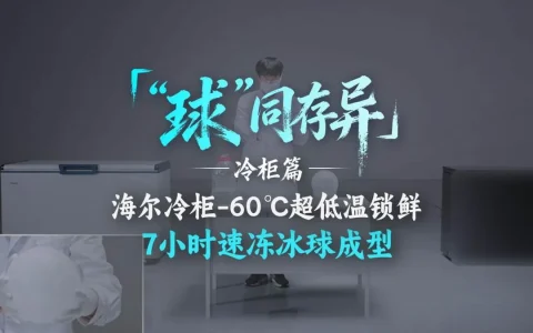 “球”同存异：同一颗冰球，海尔冷柜冻结快