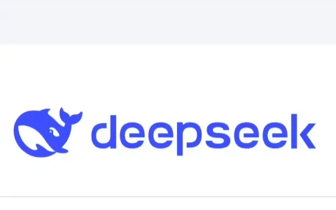 DeepSeek API 已支持网页搜索与抓取，每 1000 次成功请求收费 5 元