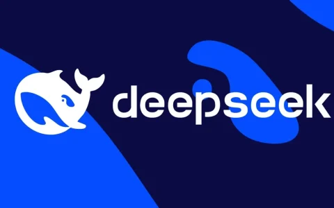 DeepSeek为API加入网页搜索与抓取 11月起按调用次数收费