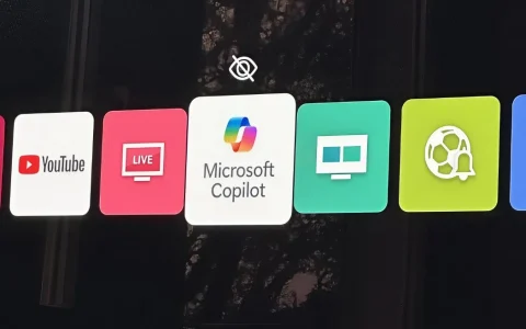 LG电视端微软Copilot服务将下线