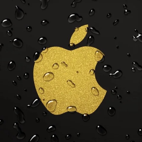Apple的头像